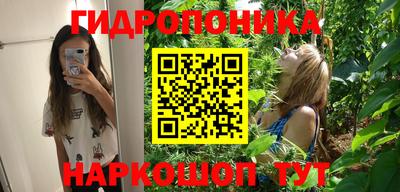 молекула духа Краснознаменск
