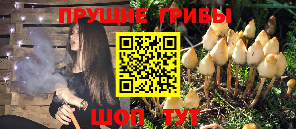 Галлюциногенные грибы мухоморы Кирово-Чепецк