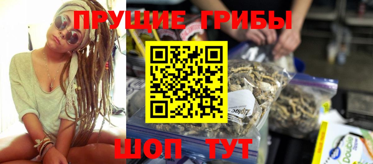 Галлюциногенные грибы прущие грибы  Вход с VPN  Кирово-Чепецк 